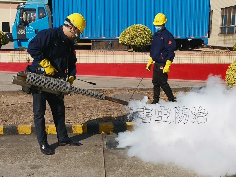 常平杀臭虫公司丨东莞常平灭臭虫公司丨木床板臭虫防治彻底消杀好